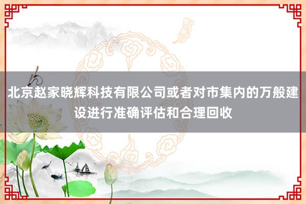 北京赵家晓辉科技有限公司或者对市集内的万般建设进行准确评估和合理回收