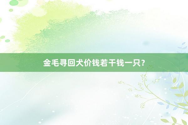 金毛寻回犬价钱若干钱一只？